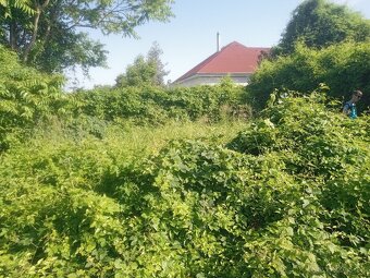 Záhradnícke služby - 6