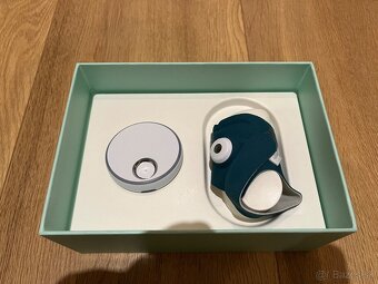Owlet - 6