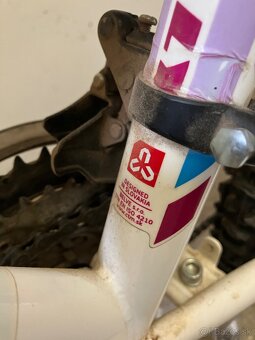 Divčensky Bicykel - 6