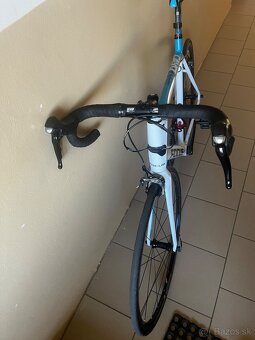 FOCUS Cayo XL - 6