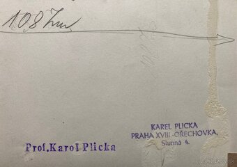 Karol Plicka - Velká (CZ) - 6