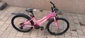 Bicykel - CTM Mony - 6