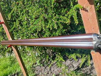 Brokovnica kaliber 10 F Sharp of Arundel do roku 1890 - 6