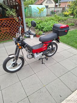 Manet supermaxi - 6