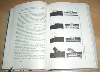 Rez a tvarovanie ovocných drevín - 6