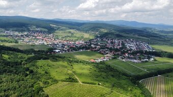 PREDAJ OBRÁBANÝCH VINÍC - GRINAVA, PEZINOK - 6