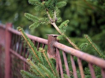 Beroflex 135mm / F2,8 / M42 - 6