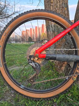 CTM Scroll Expert 2019 - 6