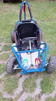 Buggy - 6