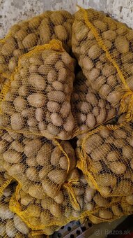 Zemiaky soraya na uskladnenie - 6