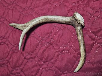 parohy parožie na výrobky rukoväť noža - 6