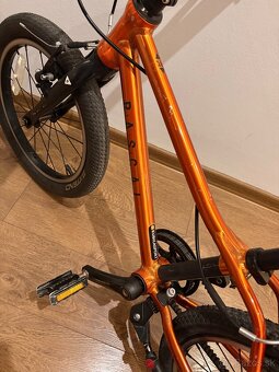 Predam Rascal 16 - 6