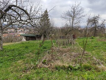 Zahradka s pivnicou - Pod Kalvariou - 6