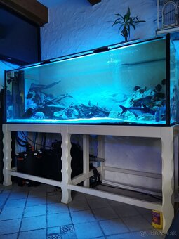 Akvarium 1100 Lit. - 6