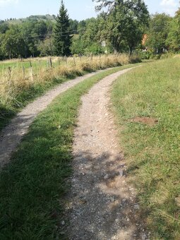 Pozemok - trvalý trávnatý porast - 6