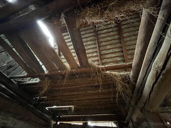 Stare drevo na predaj - 6