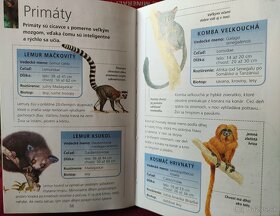 Dinosaury - 6