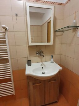 2 IZBOVÝ BYT TRENČÍN NA PRENÁJOM, SIHOŤ - 6