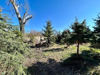 Na predaj | Stavebný pozemok 699 m² - Topoľnica - 6