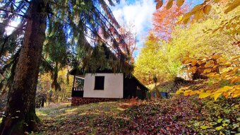 Útulná chata polosamota Tále Nízke Tatry - 6