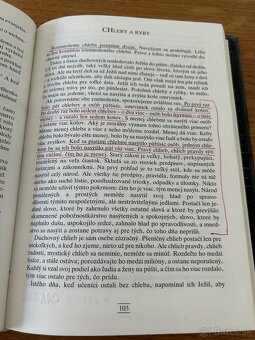 Giovanni Papini: Život Krista - 6