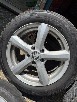Barum Polaris 5 205/55 R16 - 6
