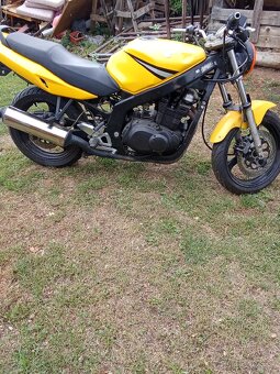 Suzuki - 6