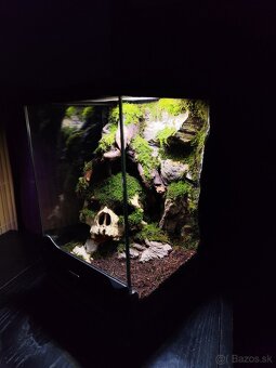 Terarium Exo terra - 6