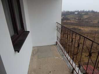 Na predaj viničný domček s vinicami a pivnicou v Strekove. - 6