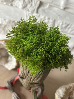 Groot so stabilizovaným machom - 6