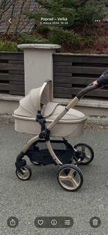 Egg 2 Feather platinum 9v1 - 6