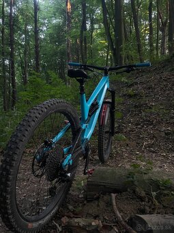 Canyon torque - 6