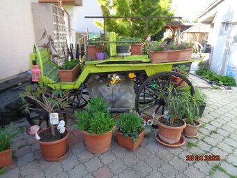 Dekorácia-brička - 6