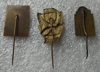 odznaky na ihlu - armáda i iné - 6