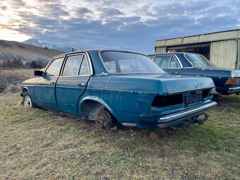 Mercedes - Benz W123 - 6