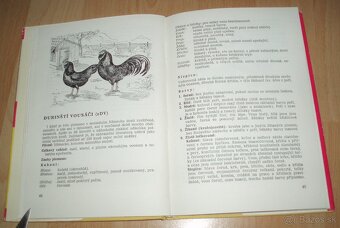 Plemená drubeže – Príručka pro chovatele drubeže, časť III - 6