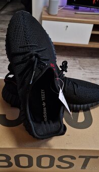 Yeezy Boost 350 - 6