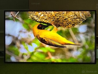 Predám TCL 65DP600 65” 4K ULTRA HD - 6