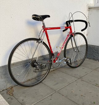 Pinarello Montello - 6