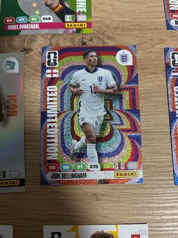 FIFA 365 Kartičky - 6