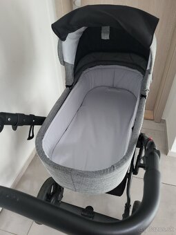 Roan Bloom Titanium - 6