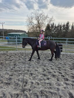 Sportovní pony - 6
