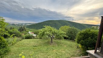 Záhradnícke práce,  úpravy a rekonštrukcie záhrad - Košice - 6