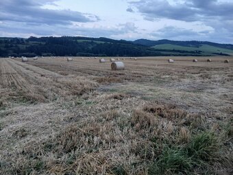 Predam slamu lisovanu-balikovanu a moznym dovozom. - 6