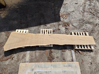 Dubové rezivo XXL - 6