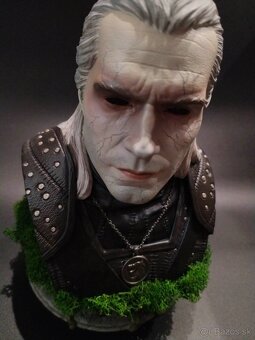 The Witcher/Zaklínač - 6