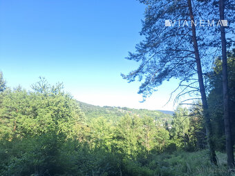 IBA U NÁS Pozemok 1,8 ha na okraji Púchova, Vieska-Bezdedov - 6