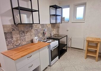 Prenájom veľkometrážna garsonka (70 m²) v Ilave. - 6