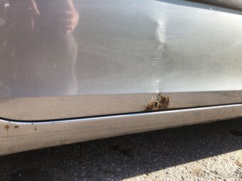 Škoda Roomster 1,2 TSI 63kW 2012 - 6