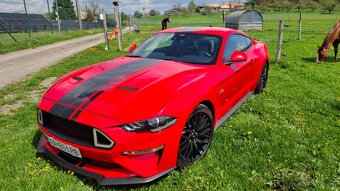 Ford Mustang GT 5.0 V8 - 6